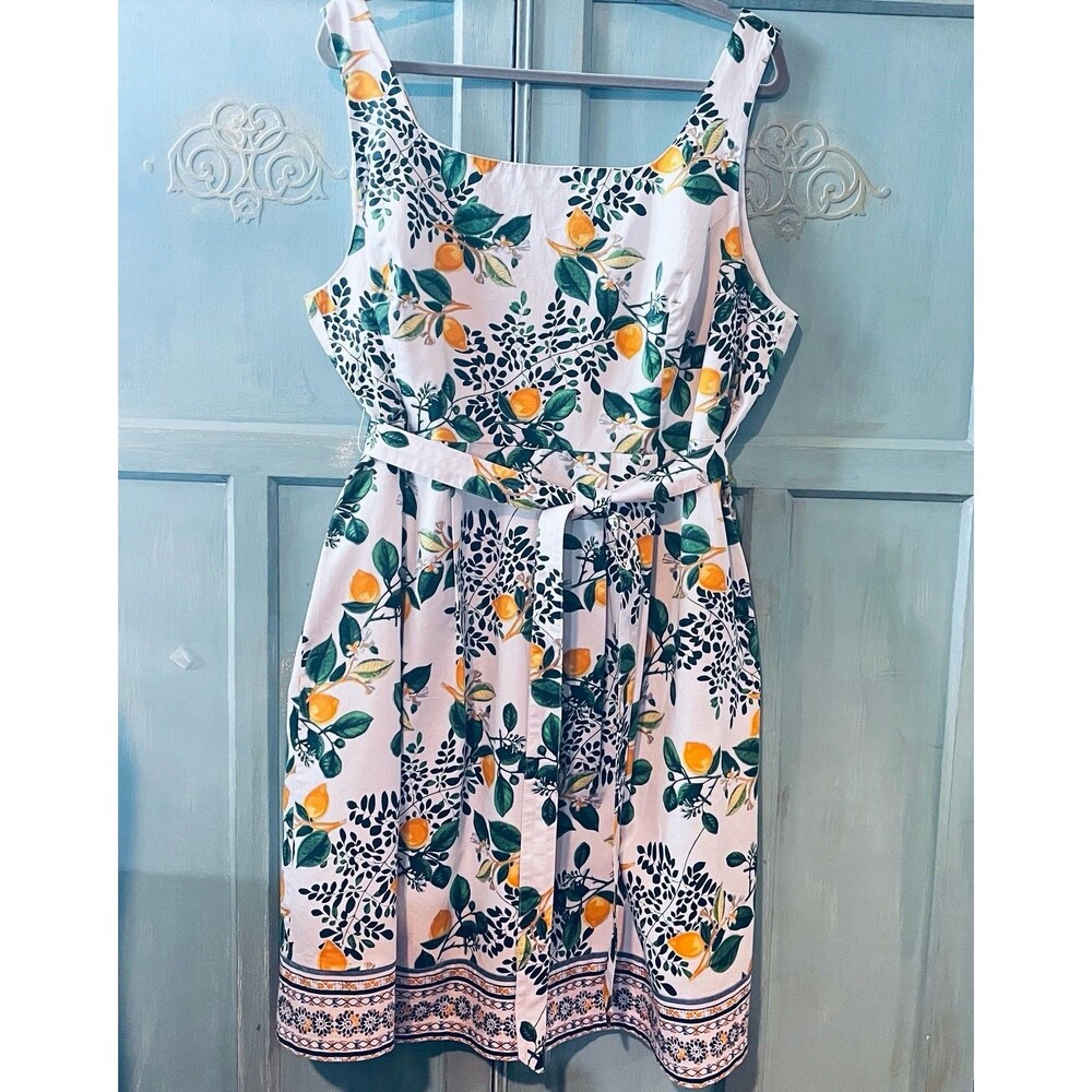 Roz & Ali Womens Lemon Print Fit & Flare Dress Knee Length Summery Vacation Sz18